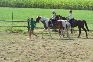 6. Konjeniški tabor konjeniškega društva Središče ob Dravi 5